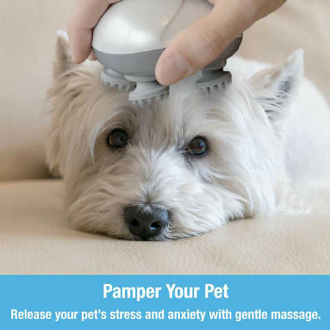 Pet massager with soft silicone brush