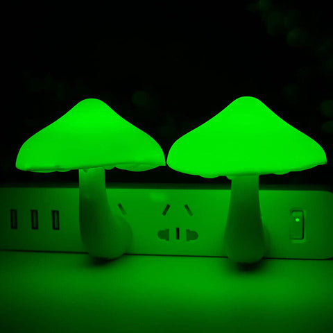 Mushroom lamp illuminating a room with a warm glow