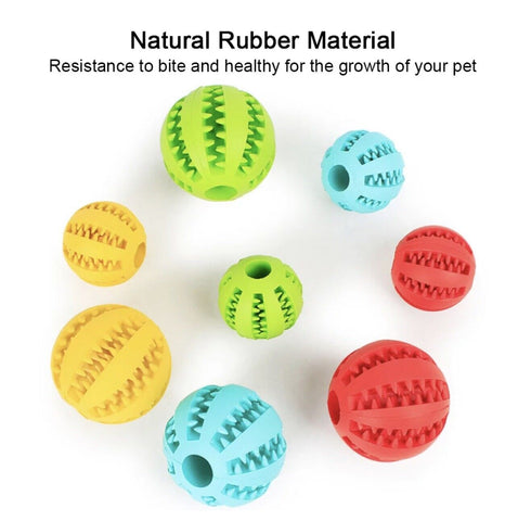 Dog playing with interactive rubber ball