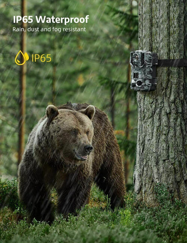 Wireless HD Wildlife Game Trail Camera capturing a deer in a forest