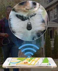 Screenshot of the findelfi app interface