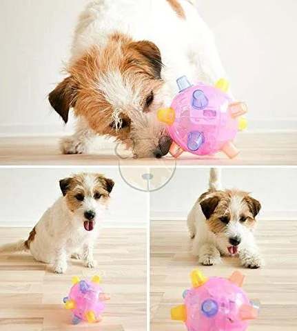 Dog looking at colorful LED jumping ball